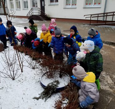 Grupės veikla-Zuikučiai-Sausio 13 - 16