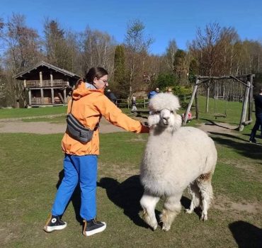 Ekskursija Alpakų parke 20