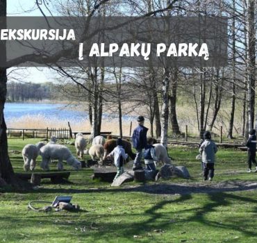 Ekskursija Alpakų parke