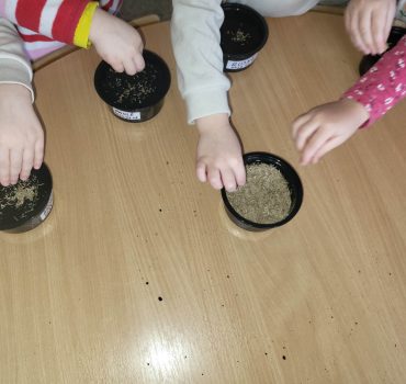Ant žalios palangės 07