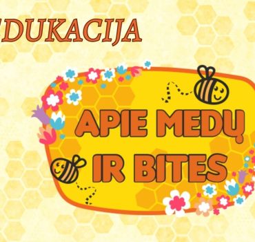 Edukacija Apie medų ir bites