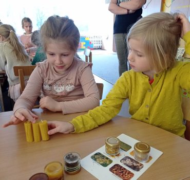 Edukacija Apie medu ir bites - Drugelių grupė 02