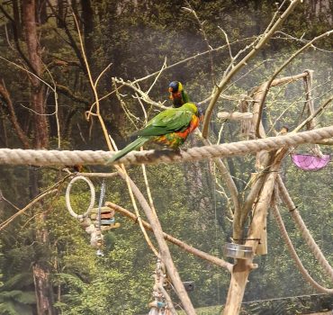 Išvyka į zooparką -Smalsučiai 03