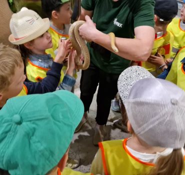 Išvyka į zooparką -Smalsučiai 11