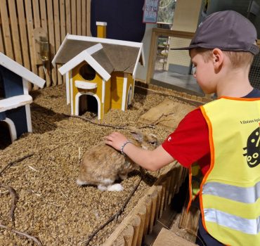 Išvyka į zooparką -Smalsučiai 13