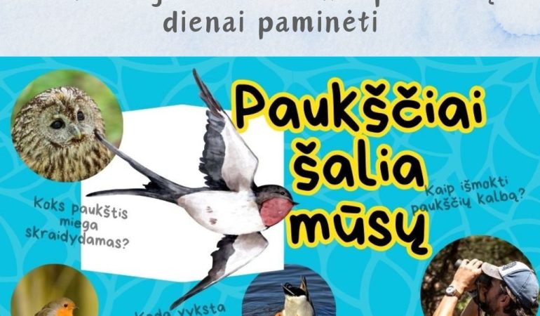 Edukacija
