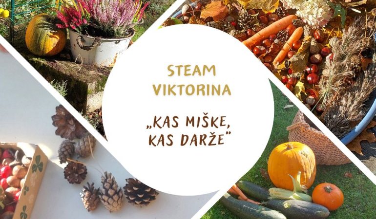 Steam viktorina